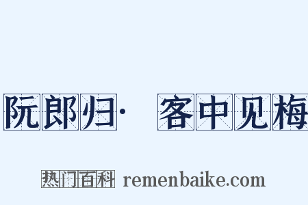 阮郎归·客中见梅是什么意思的图片